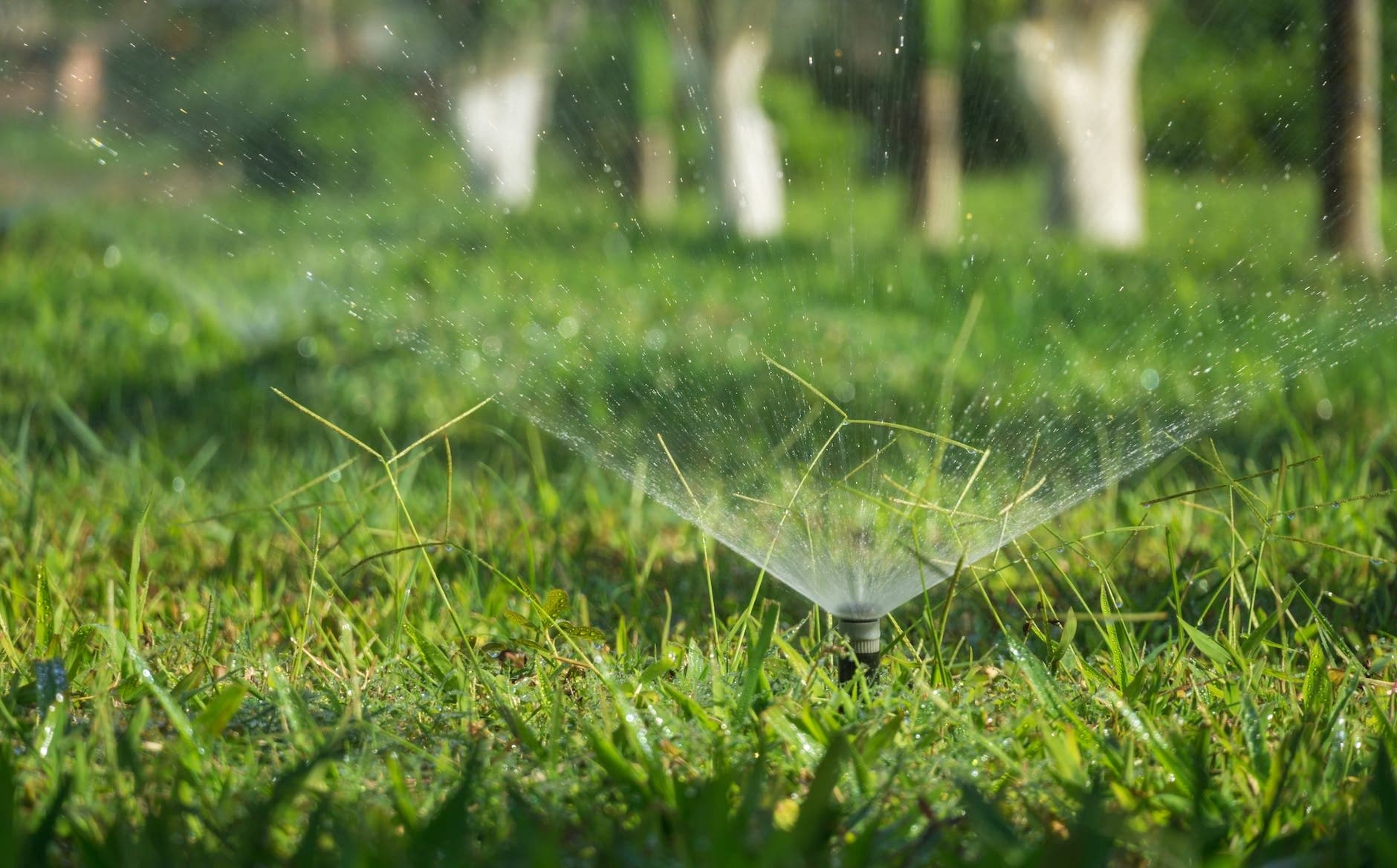 Professional Expert Drainage Services in Aledo , TX That Protect Your Property