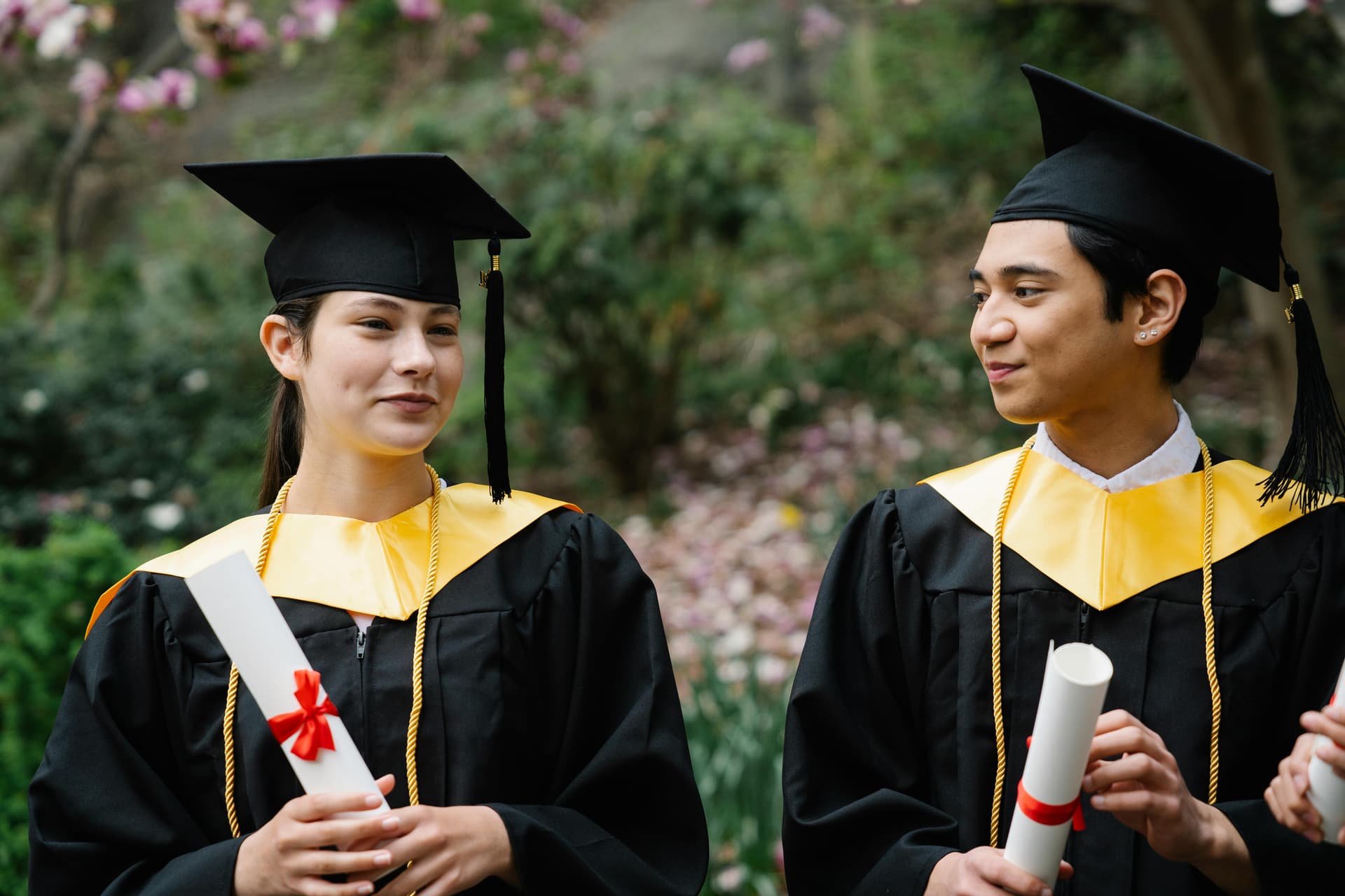 Buy Diploma That Meets Industry Standards