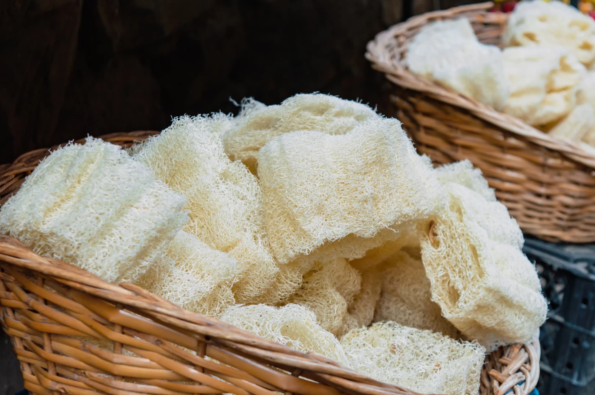 Raw Loofah Sponge: Your Natural Skincare Companion