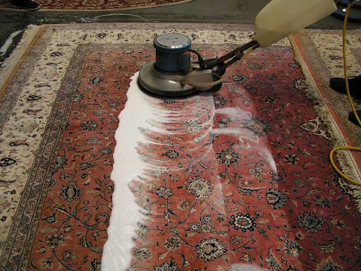 Deep Cleaning Specialists for area rug cleaning barton creek austin tx