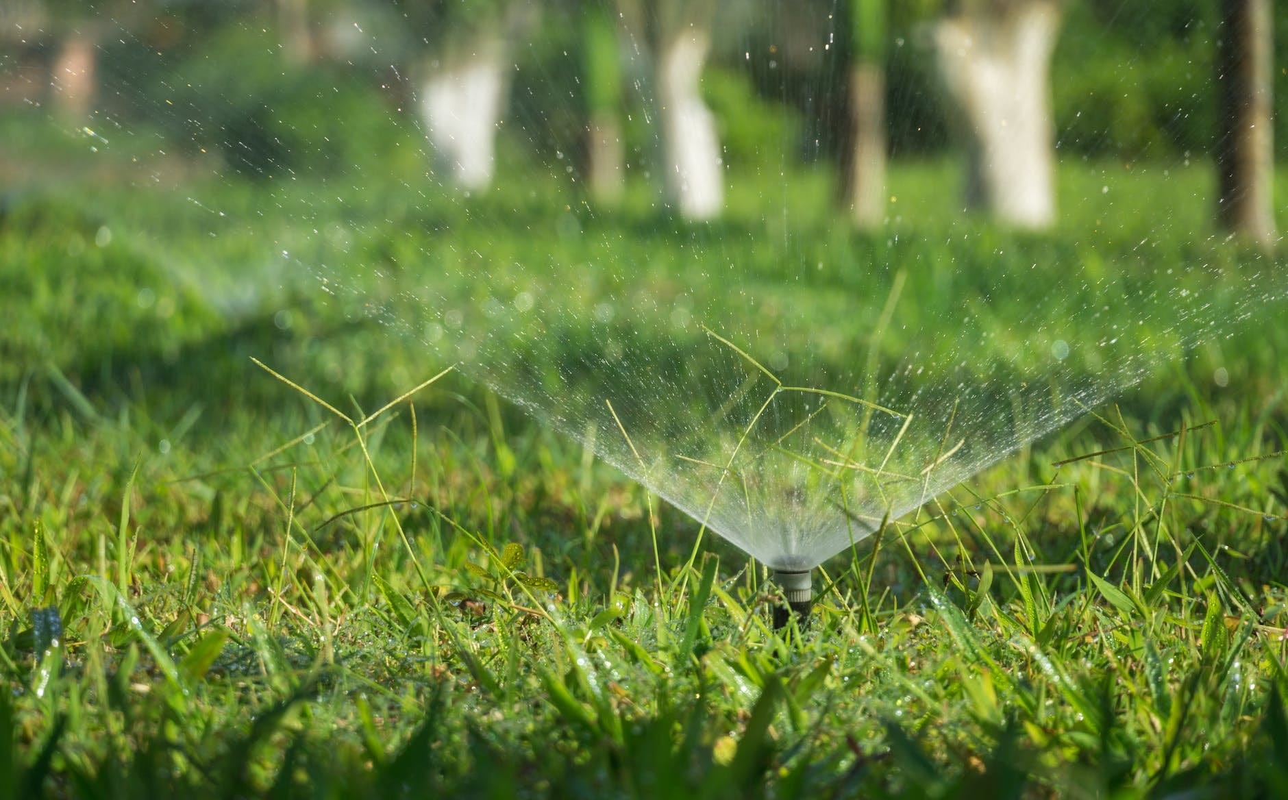 Professional Expert Drainage Services in Aledo , TX That Protect Your Property