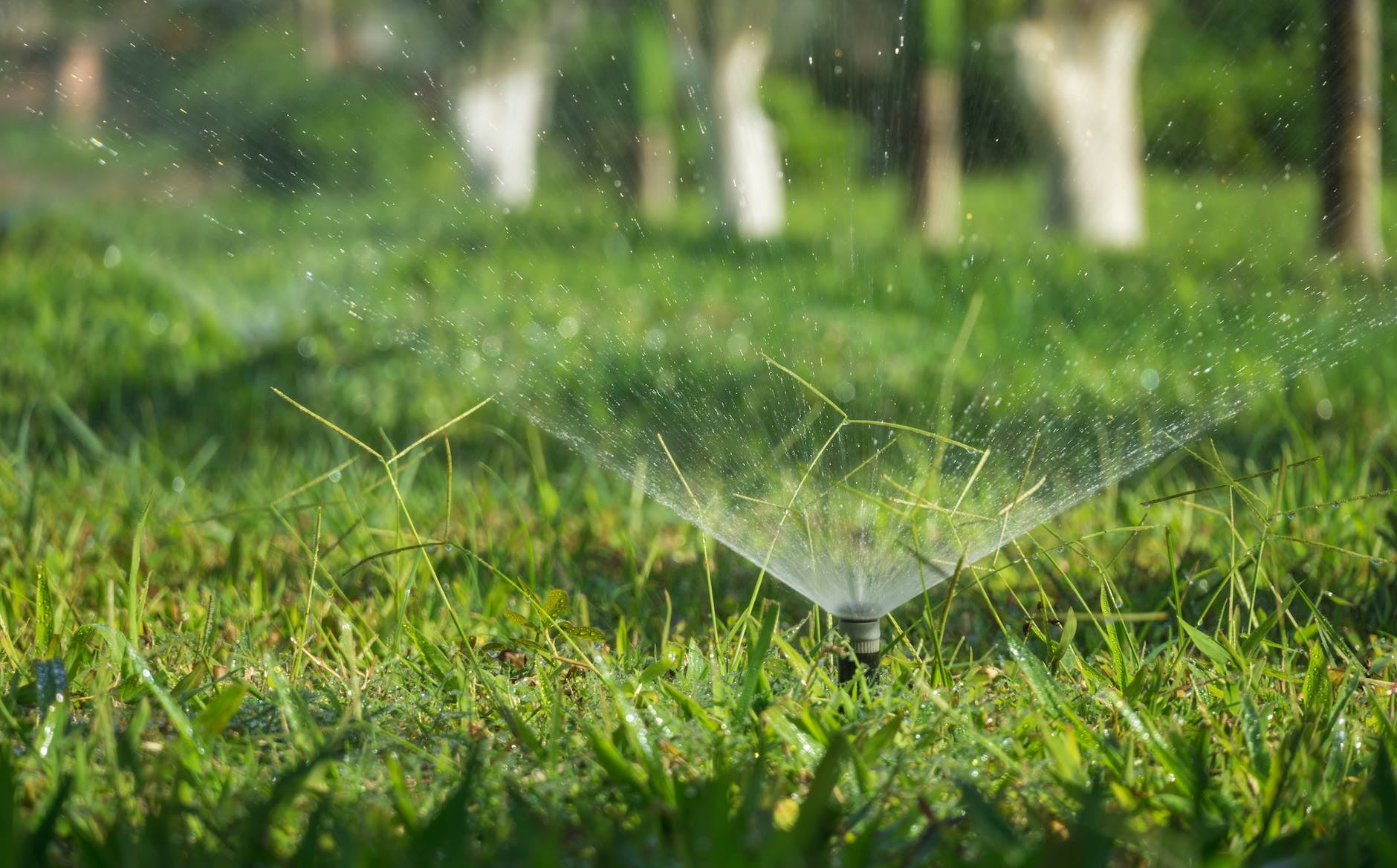 Professional Expert Drainage Services in Aledo , TX That Protect Your Property