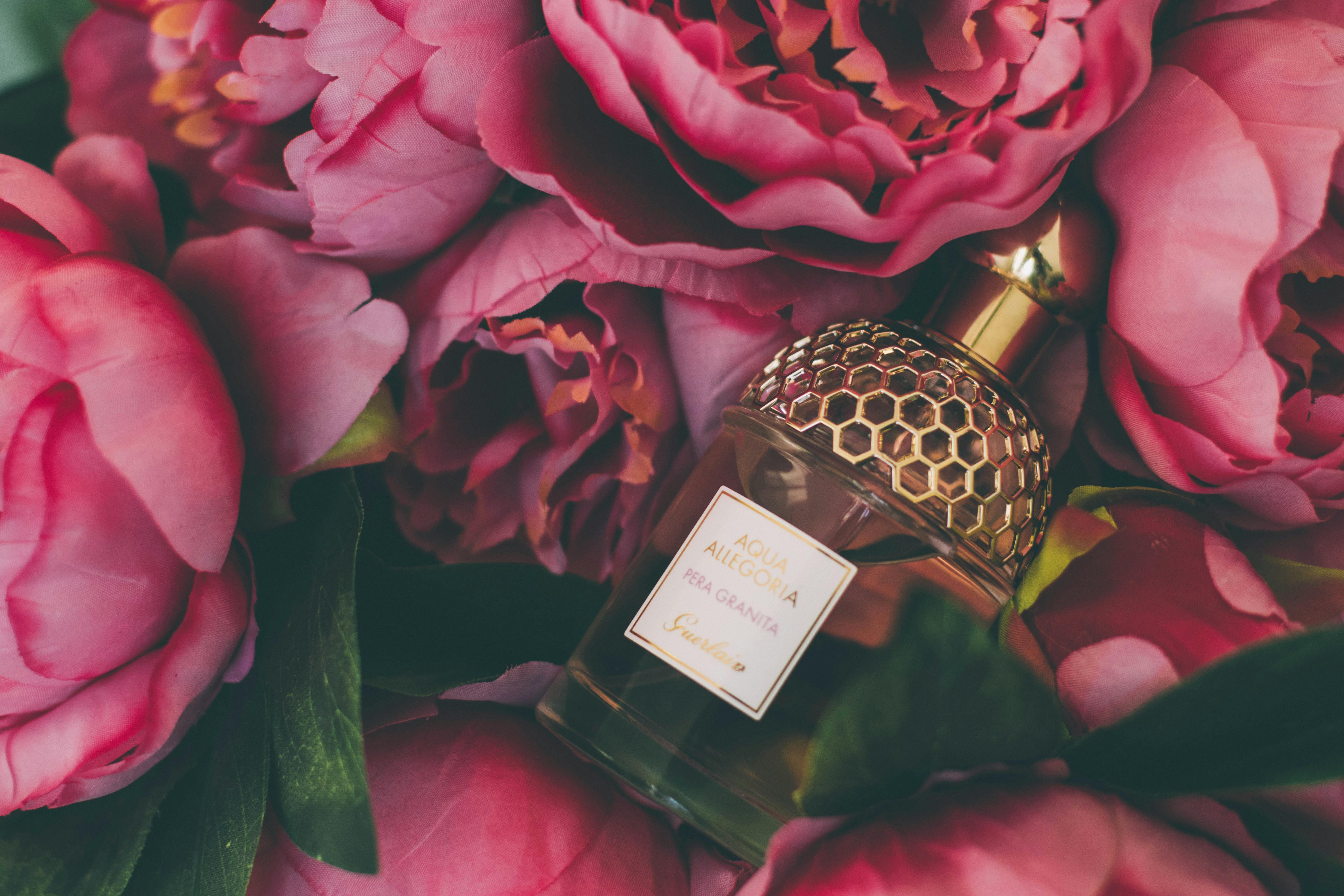 Is Gucci Guilty Intense Perfume Worth the Upgrade from the Original?