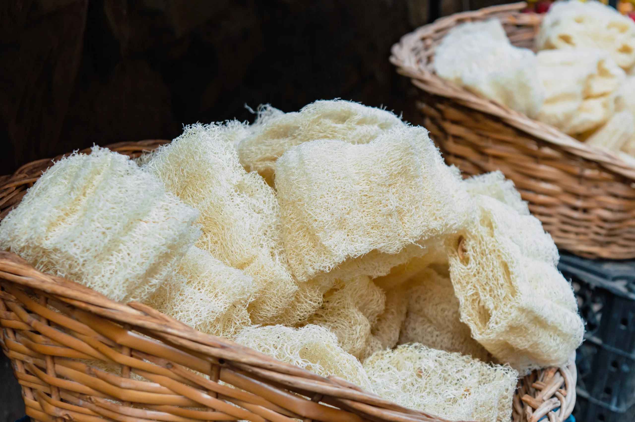 Raw Loofah Sponge: Your Natural Skincare Companion
